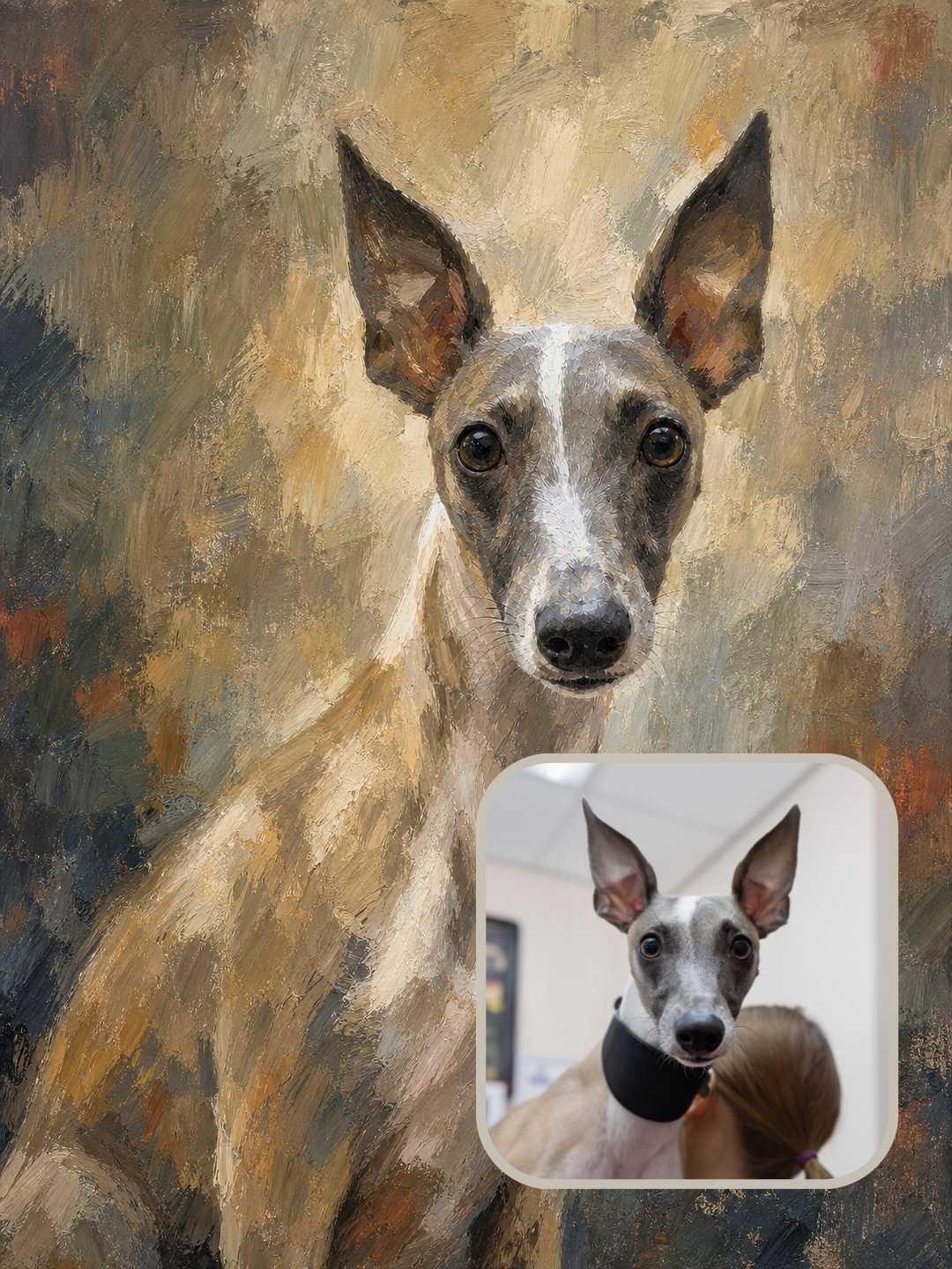 Colorfield custom dog portrait shown as a pet memorial keepsake
