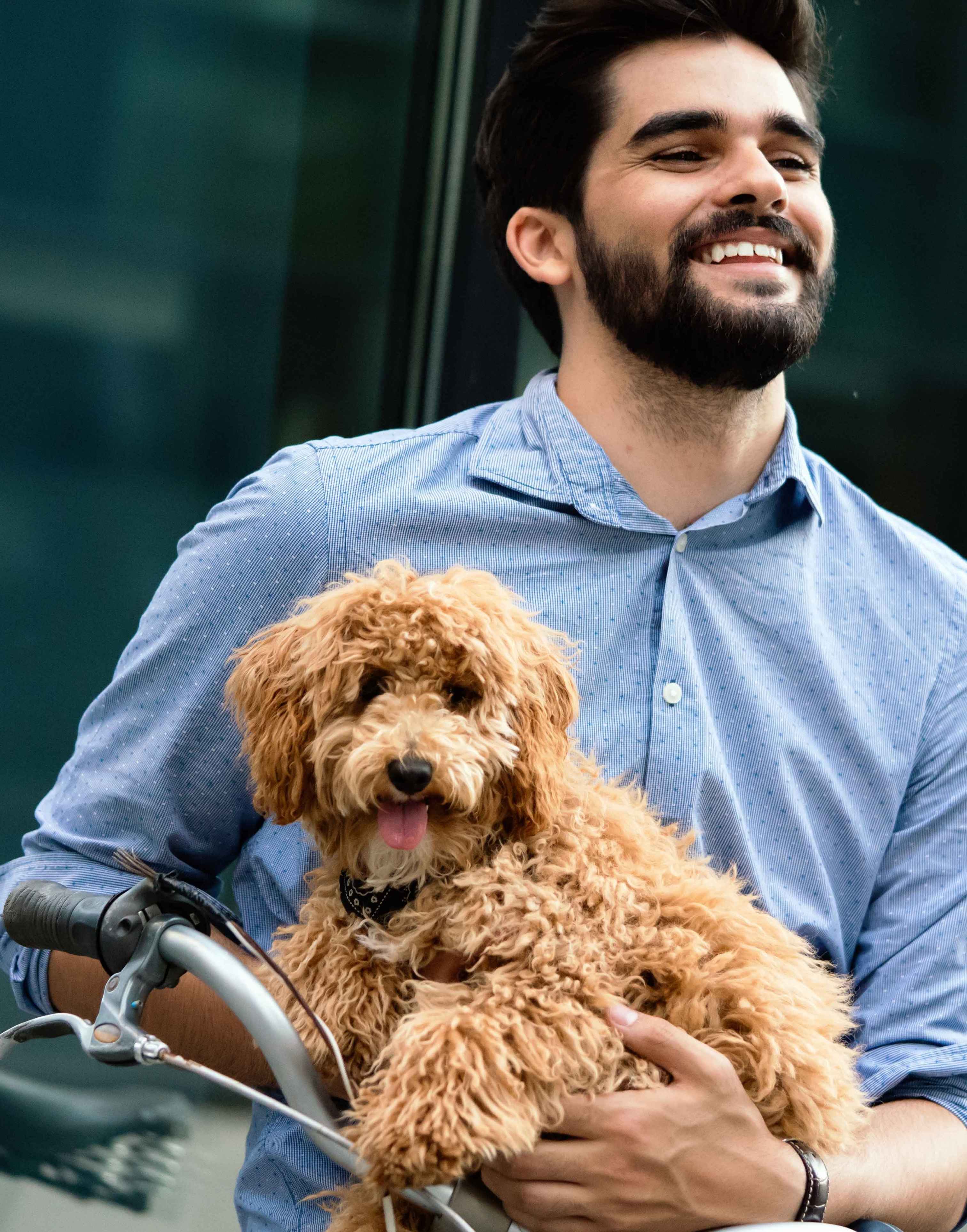 Original customer dog photo of a poodle for a Nivara custom portrait review slide