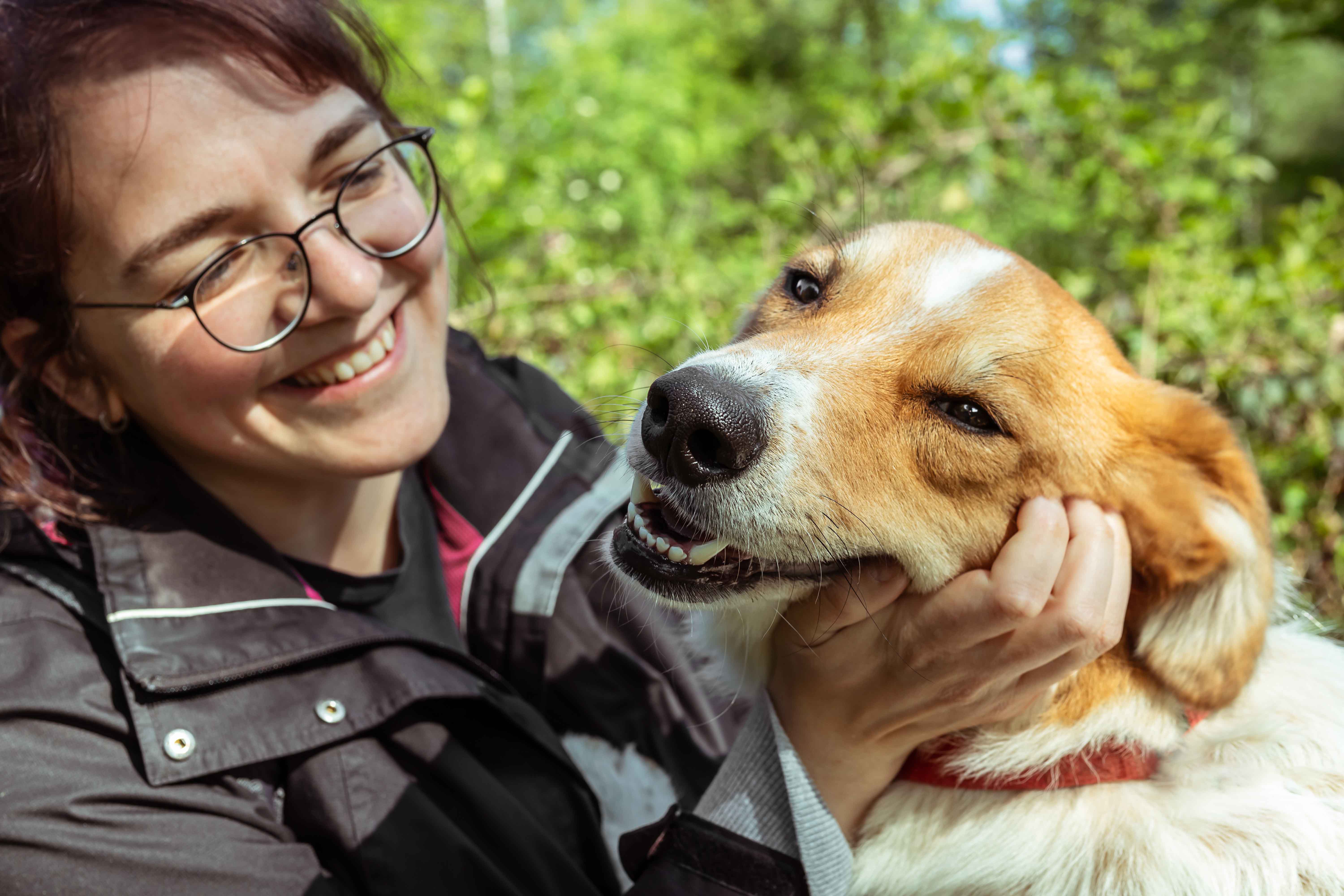 Original customer dog photo for a Sarmel custom portrait review slide