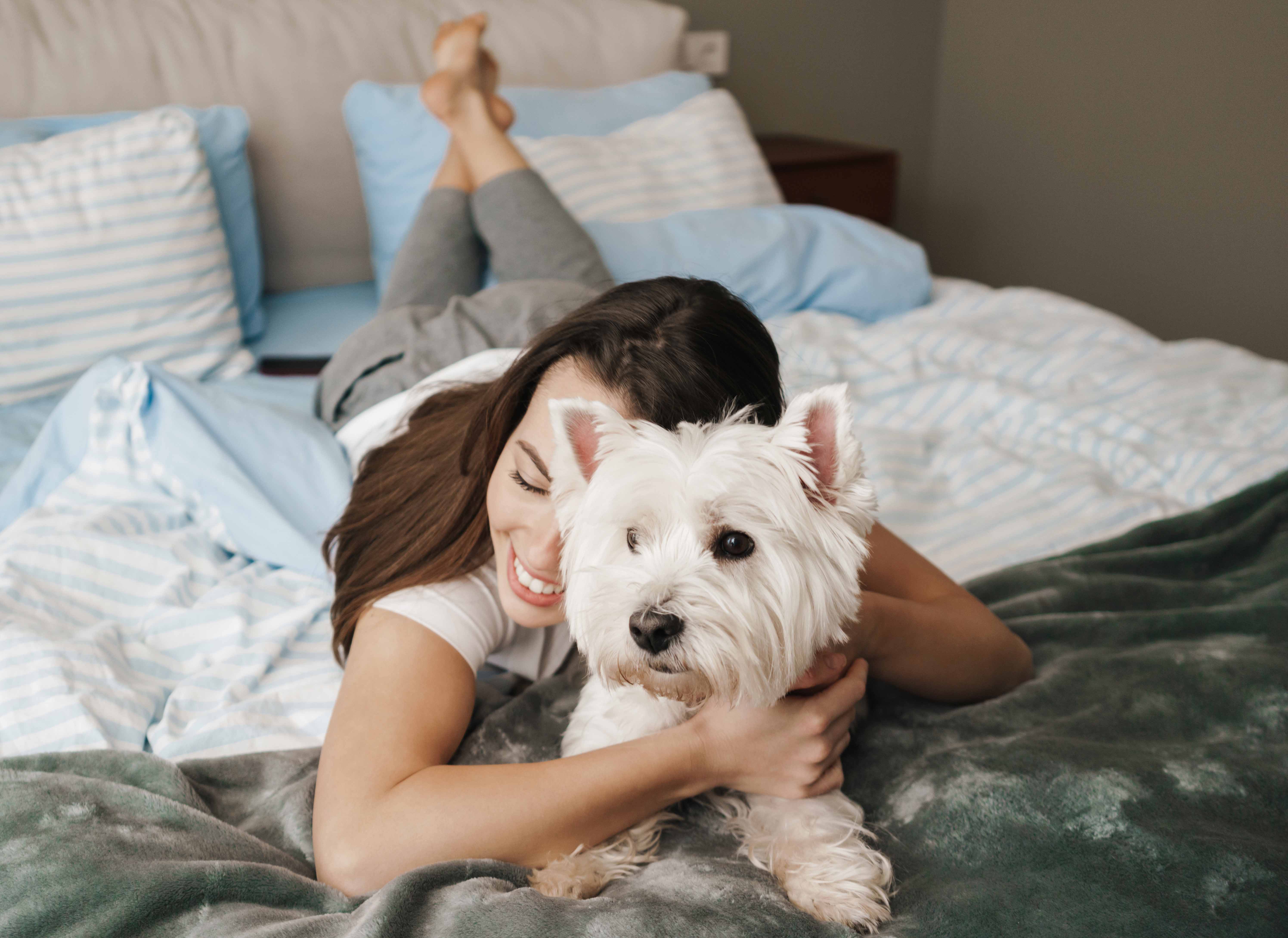 Original customer dog photo for a Sarmel custom portrait review slide